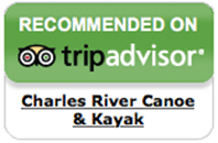 kayak in somerville review -tripadvisor